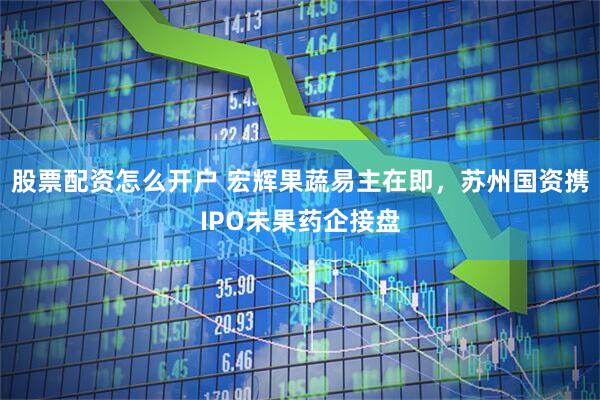 股票配资怎么开户 宏辉果蔬易主在即，苏州国资携IPO未果药企接盘