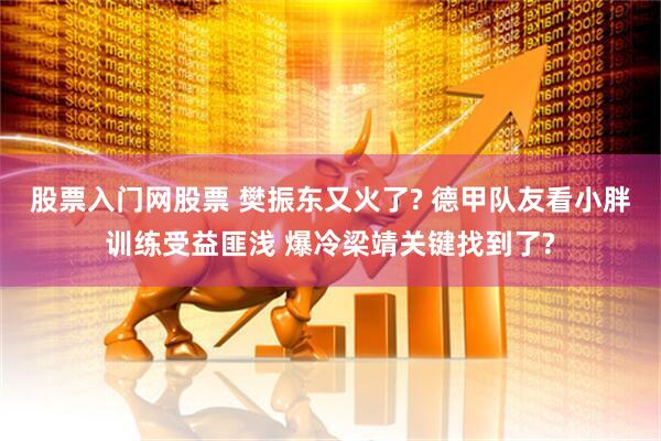 股票入门网股票 樊振东又火了? 德甲队友看小胖训练受益匪浅 爆冷梁靖关键找到了?