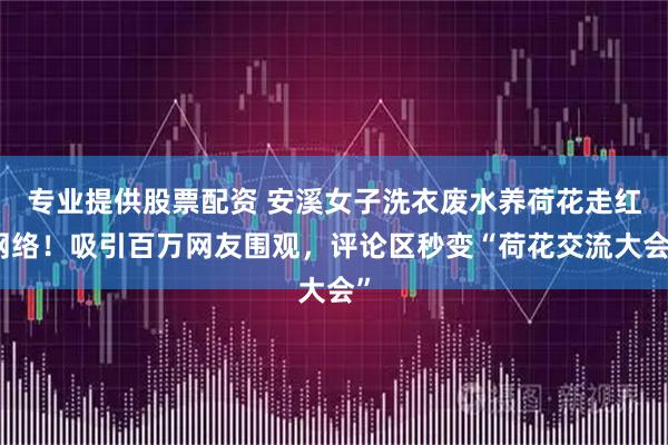 专业提供股票配资 安溪女子洗衣废水养荷花走红网络！吸引百万网友围观，评论区秒变“荷花交流大会”